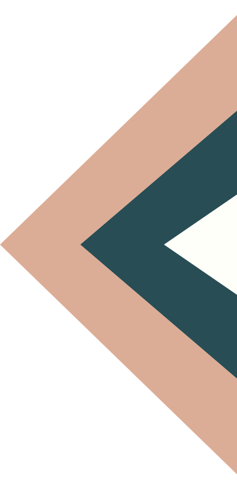 Saion Solutions Inc